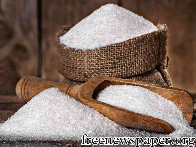 Best Sugar Stocks in India 2023
